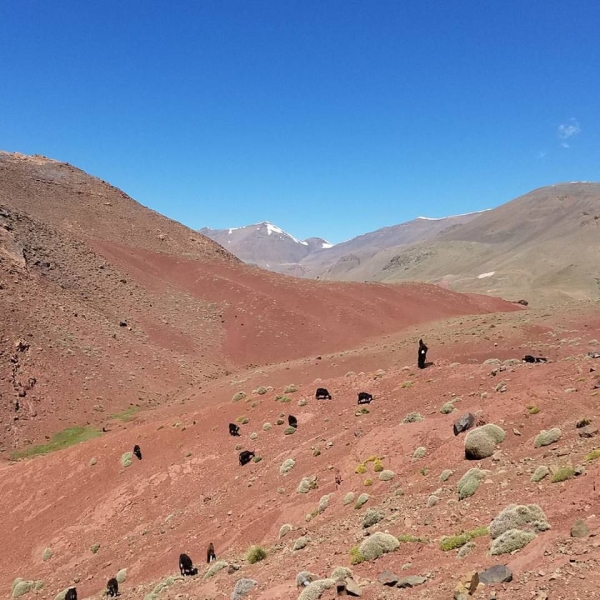 rando a cheval au maroc