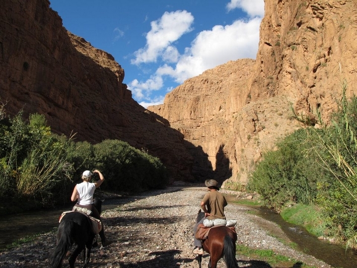 rando a cheval au maroc