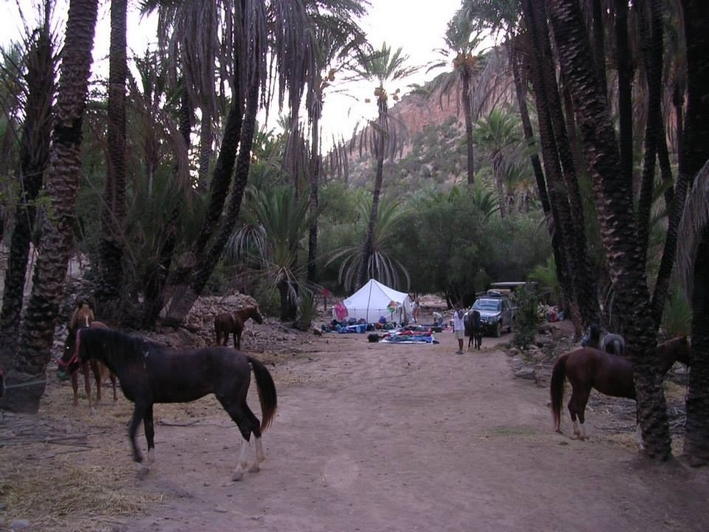 voyage a cheval maroc