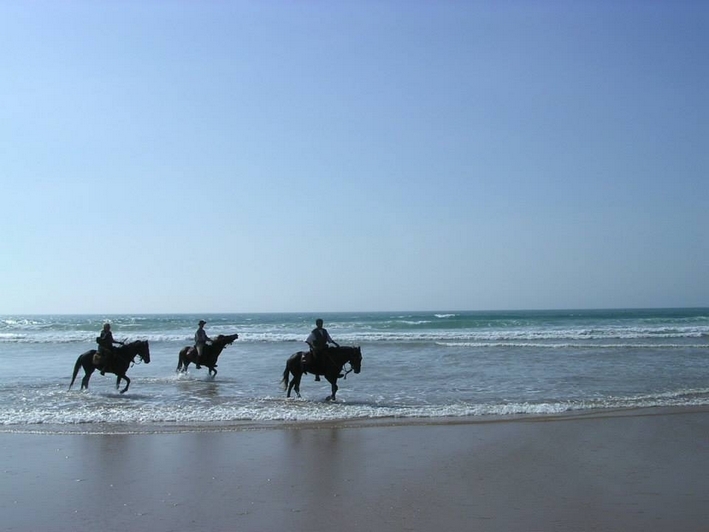 rando cheval maroc