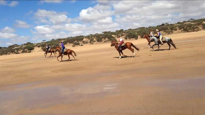 maroc randonnee equestre