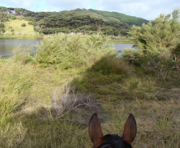 randonnee equestre en nouvelle zelande