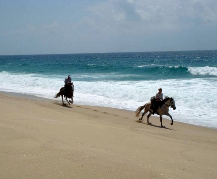 trek a cheval portugal