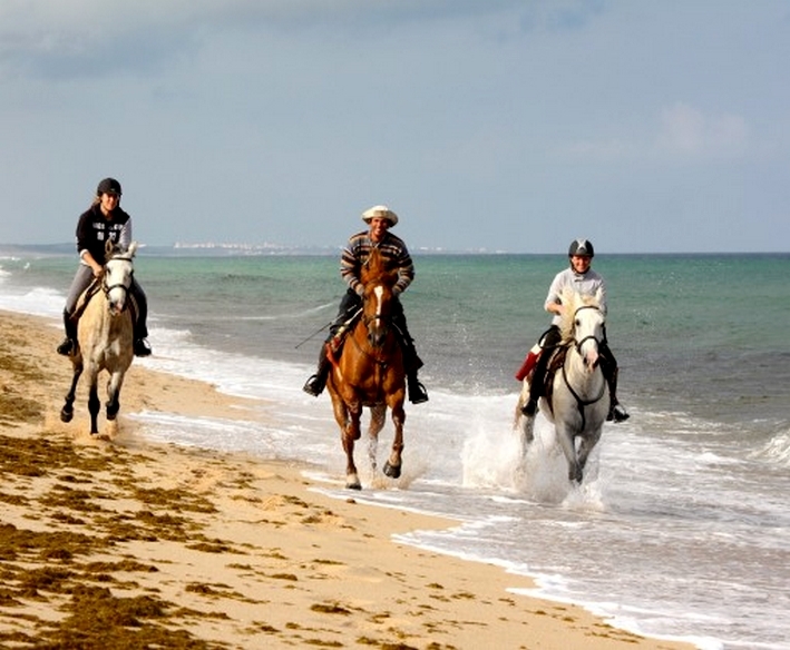 portugal a cheval