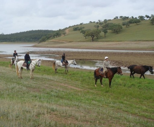 portugal a cheval