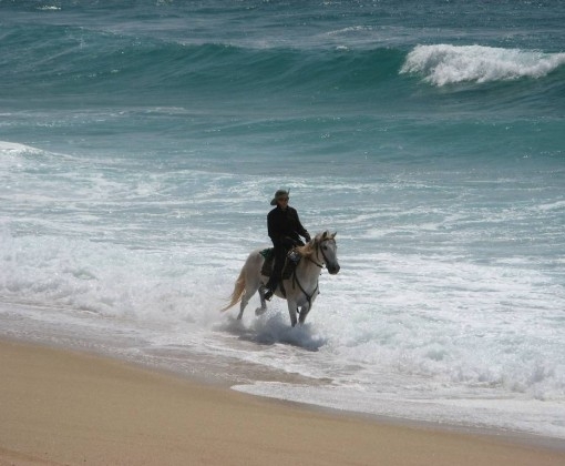 trek a cheval portugal