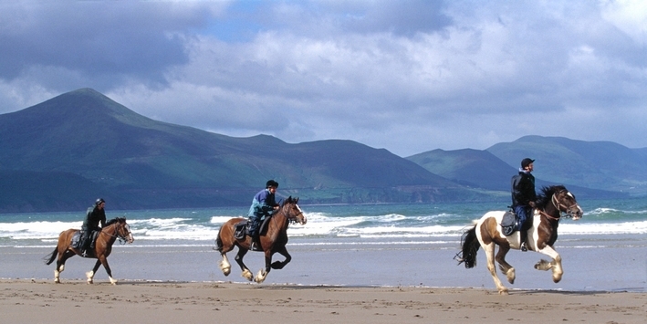 irlande a cheval