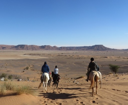 randonnee a cheval maroc