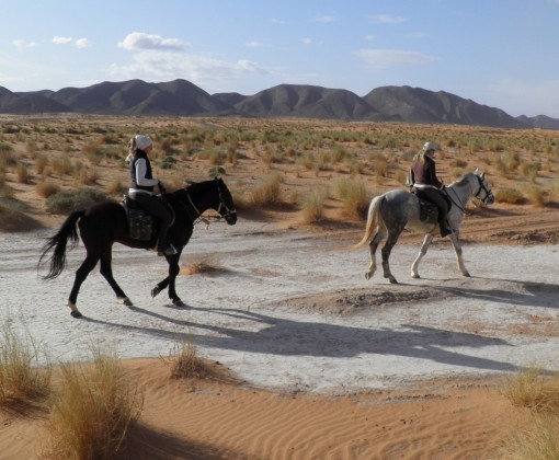 rando a cheval maroc