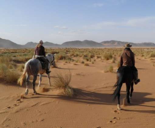 rando cheval maroc