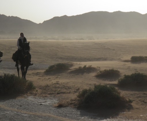 maroc a cheval