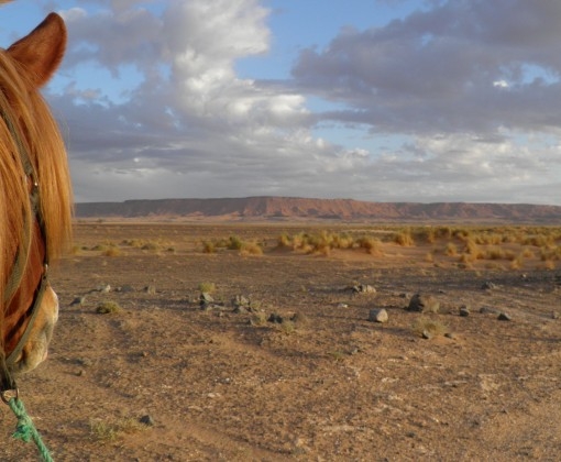 randonnee a cheval desert maroc