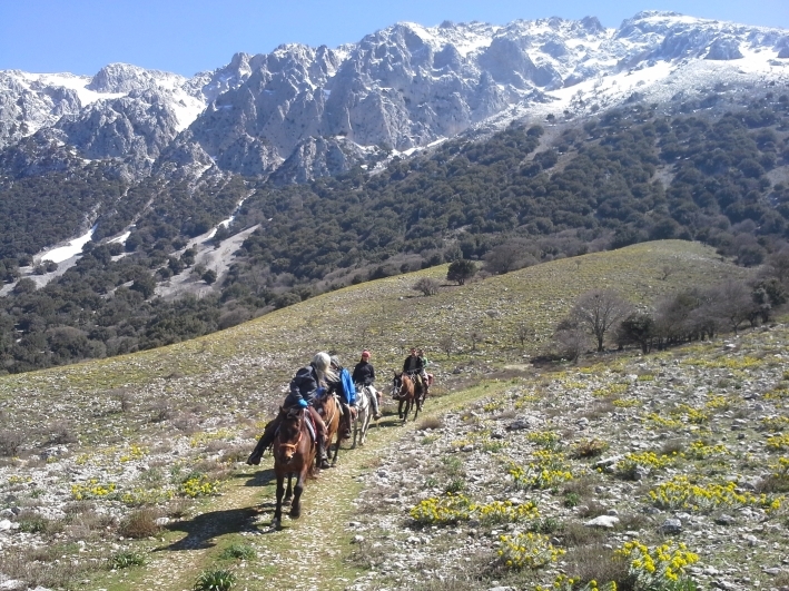 voyage a cheval Sicile