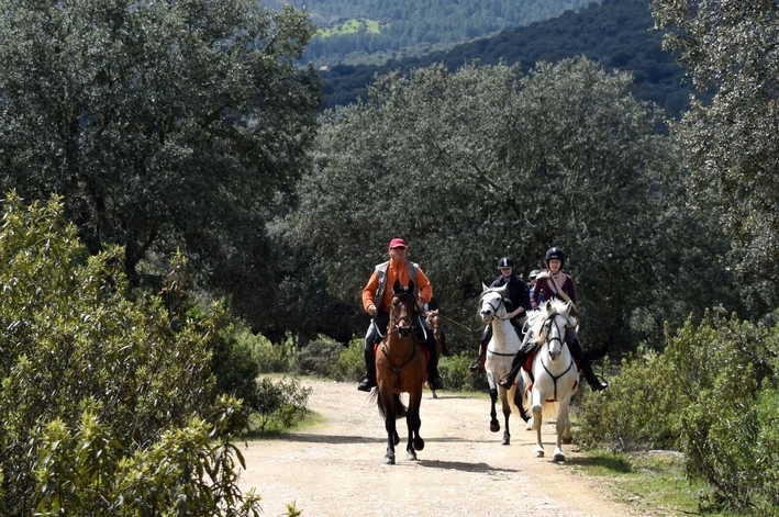 espagne a cheval