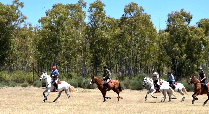 rando a cheval espagne