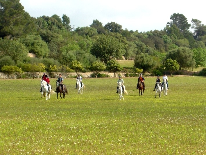 sejour equestre a majorque