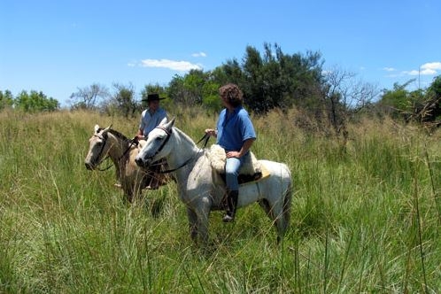 rando equestre argentine