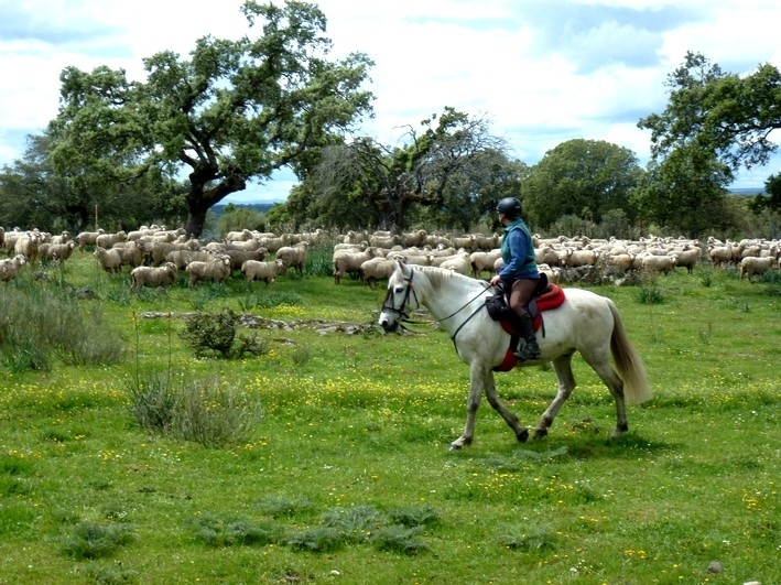 randonnee cheval espagne