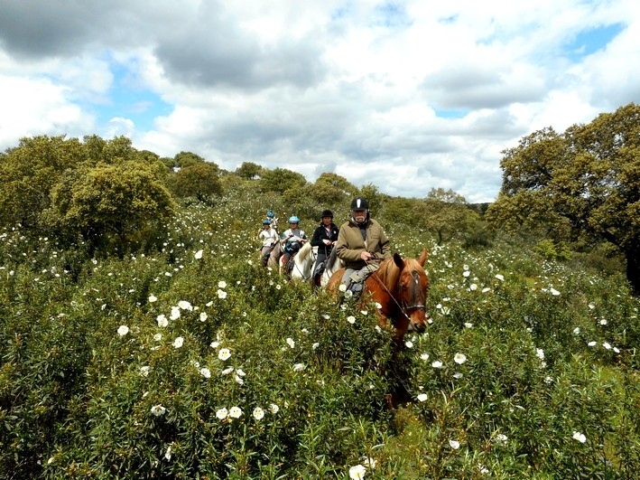 rando a cheval espagne