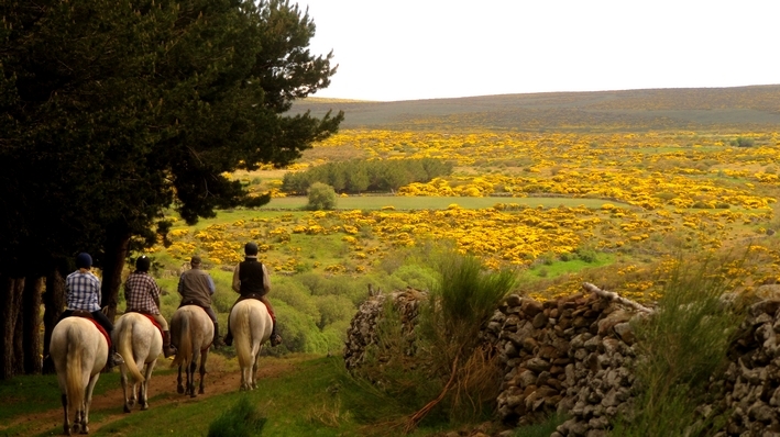 randonnee a cheval espagne