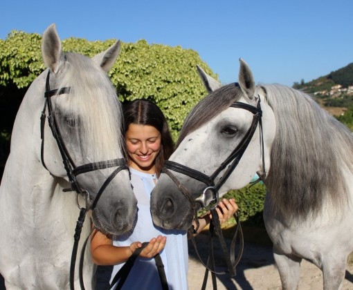 stage dressage portugal