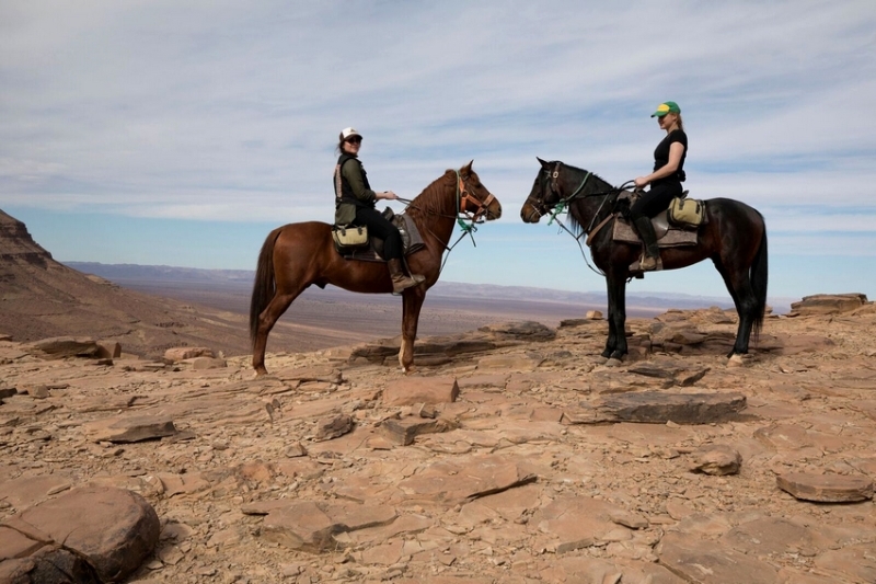 rando equestre au maroc