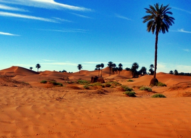 rando a cheval au maroc