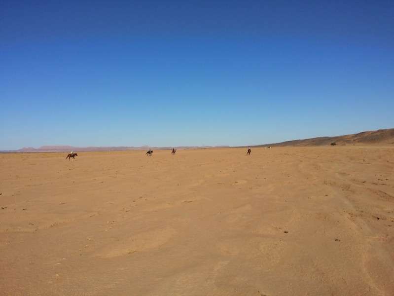 desert a cheval maroc