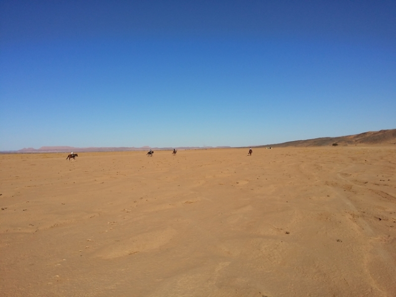 desert a cheval maroc