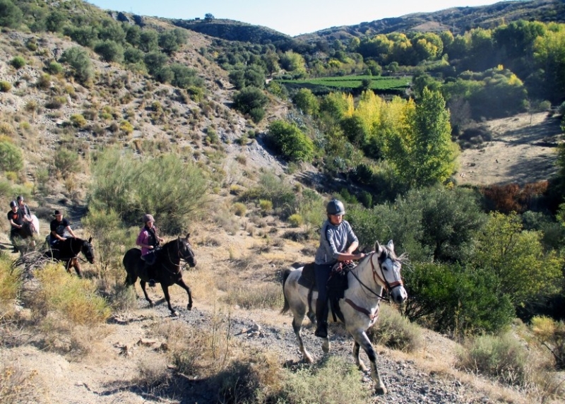 rando cheval andalousie