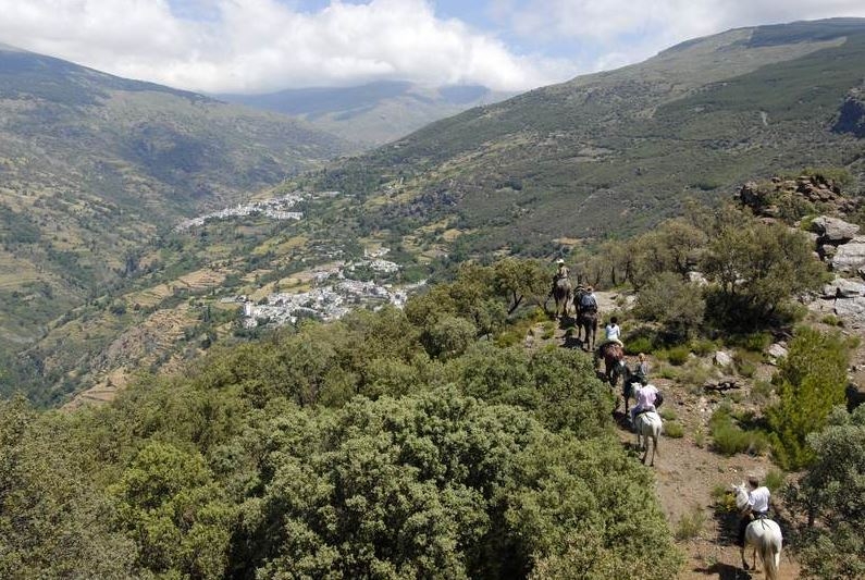 andalousie a cheval