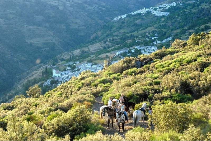 randonnee a cheval en andalousie