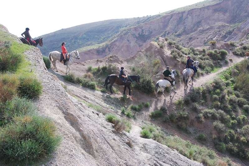 rando a cheval en andalousie