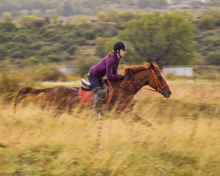 A cheval en Croatie