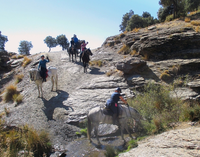 andalousie a cheval