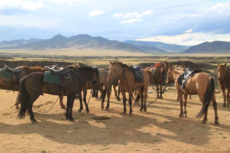 vacances à cheval en Mongolie