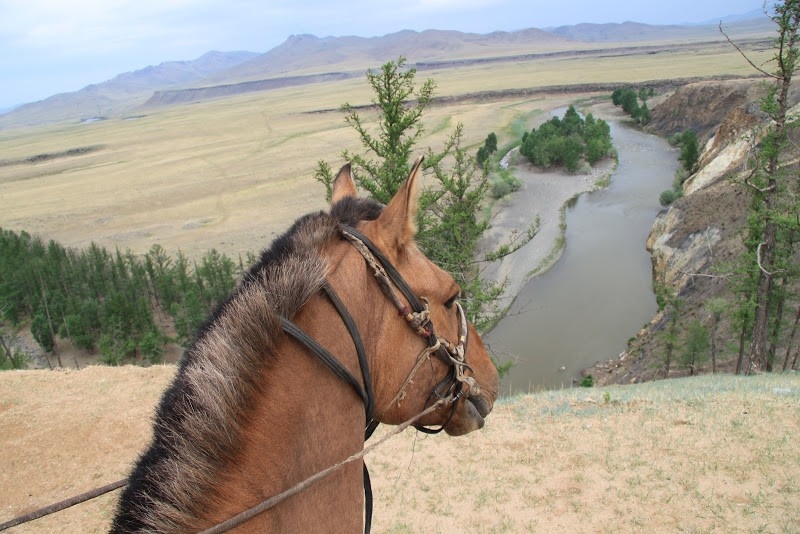 randonnée équestre en Mongolie