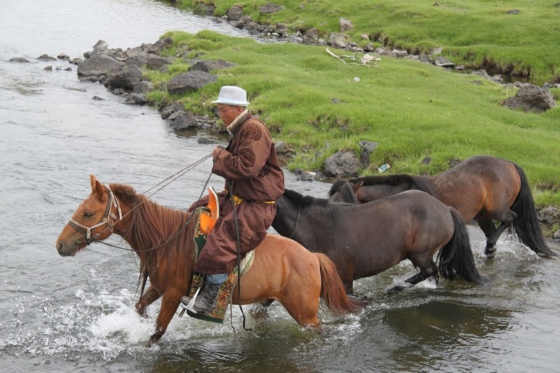 A cheval en Mongolie