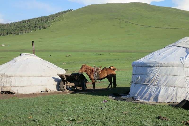 rando équestre Mongolie