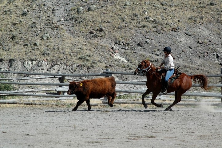 wyoming a cheval