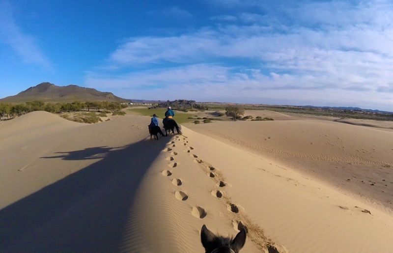 trek a cheval Mongolie