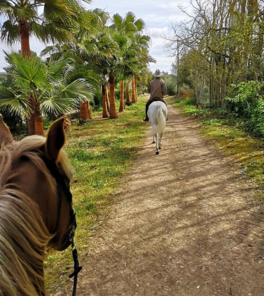 vacances a cheval a majorque