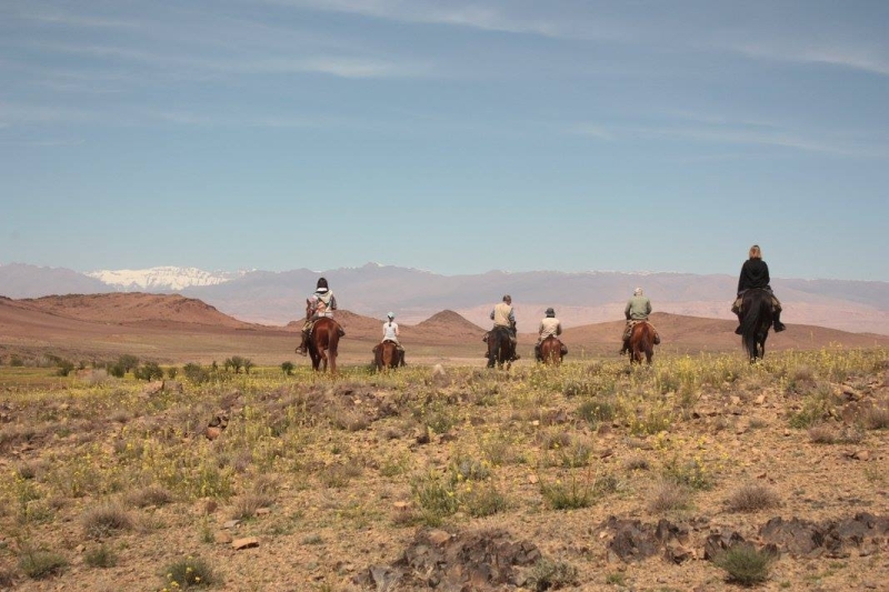 randonnee equestre au maroc