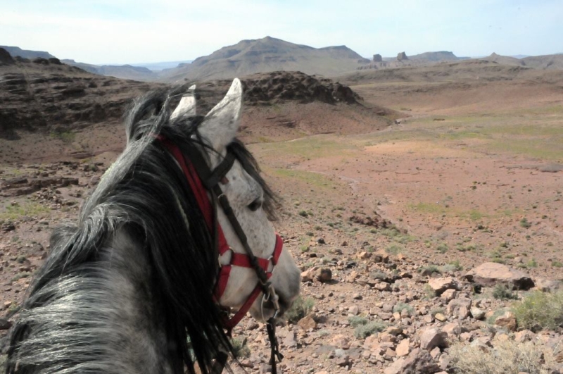 voyage a cheval maroc