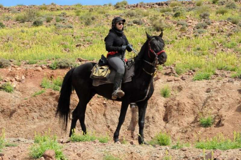 rando cheval maroc