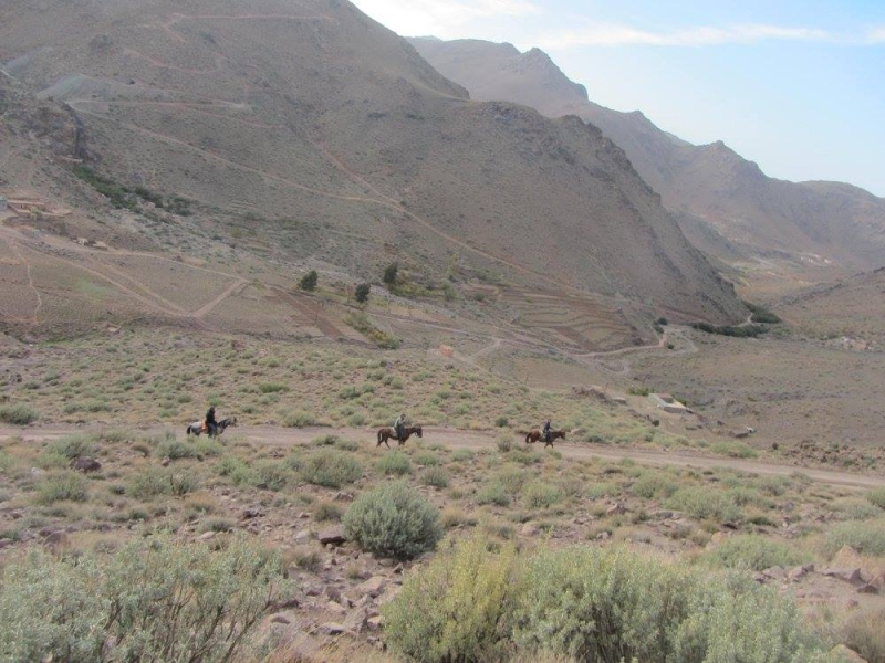 rando a cheval au maroc