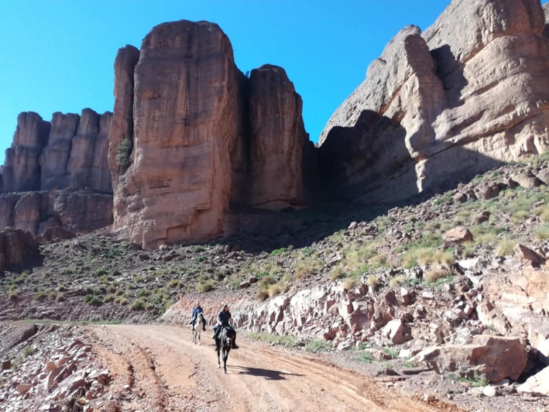 rando equestre maroc