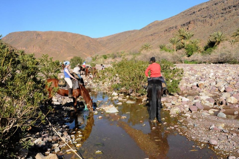 vacances a cheval au maroc