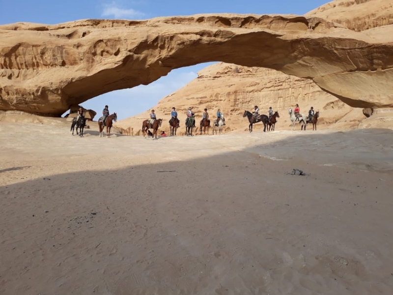 cheval en jordanie