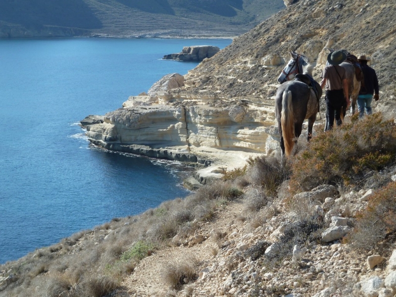 randonnee a cheval en anadalousie